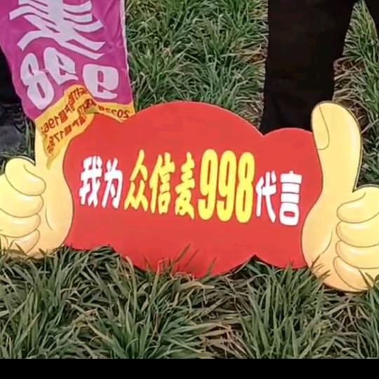 舞阳县众信麦998