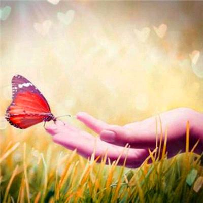 🌈898896708621🌈