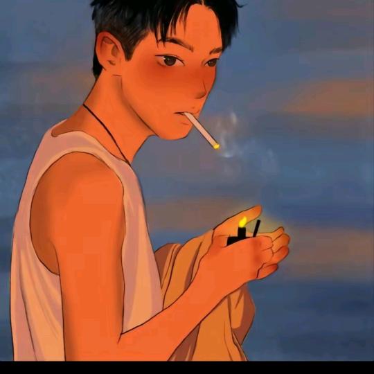 小白的生活日记