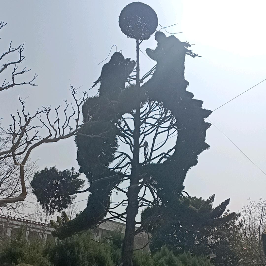 花茗茶坊