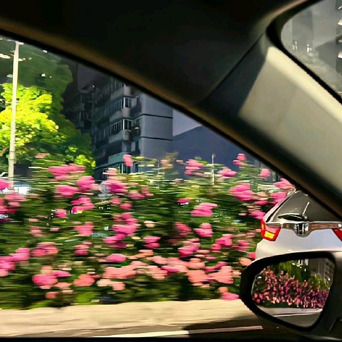 啾咪~