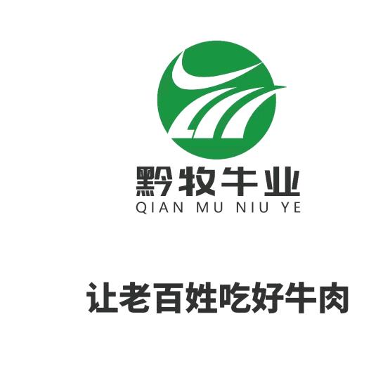 万涛，黔牧牛肉供应链