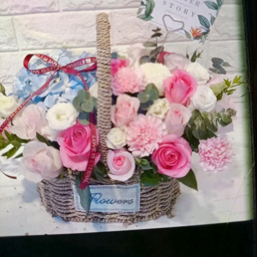 ☞猫壹样的女子☜