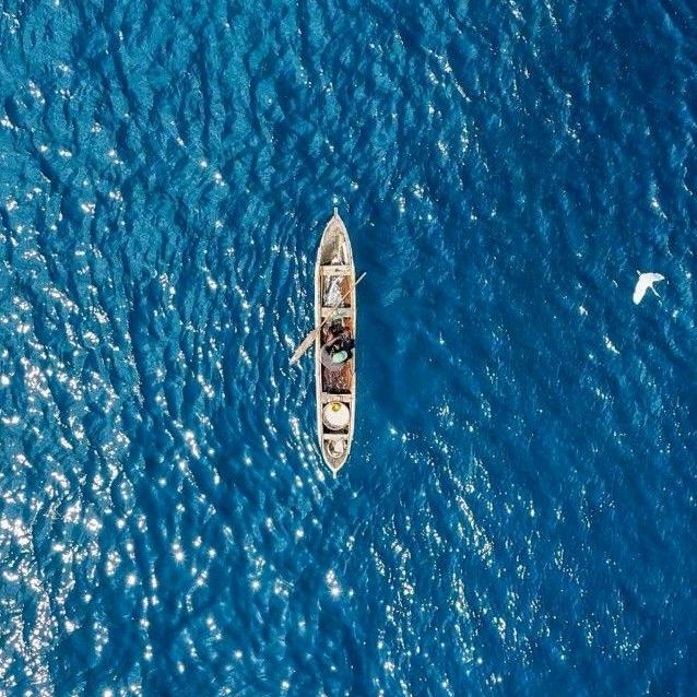 老菡菡和小午哥