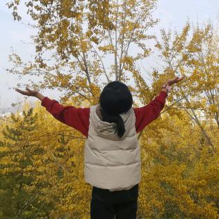 六六小橙子