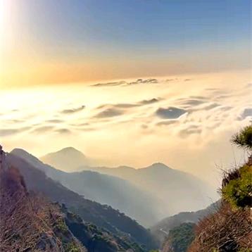 西红柿那年冬天