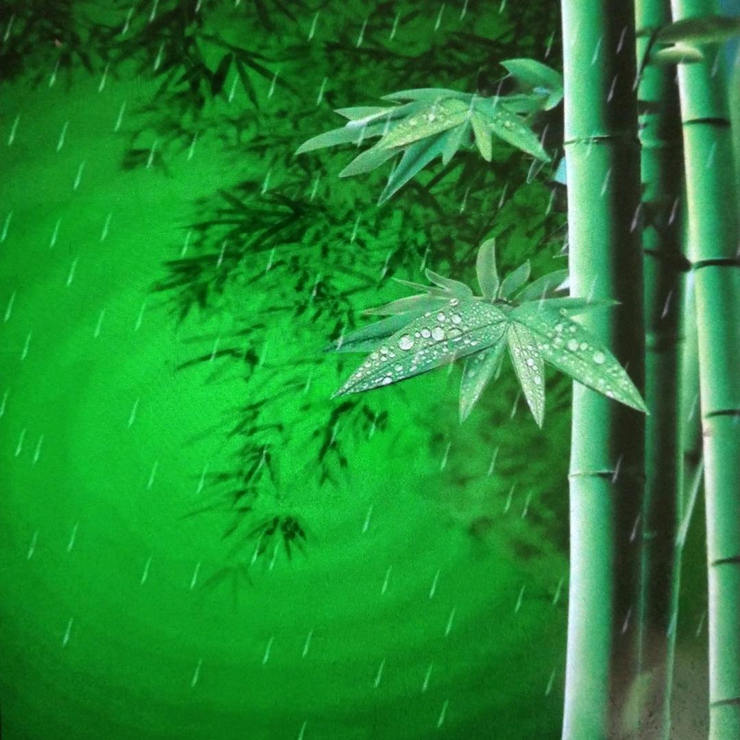 清风颂竹