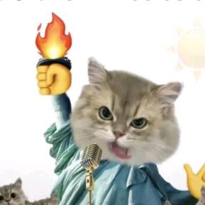 猫喵教大祭司🐱@抖音