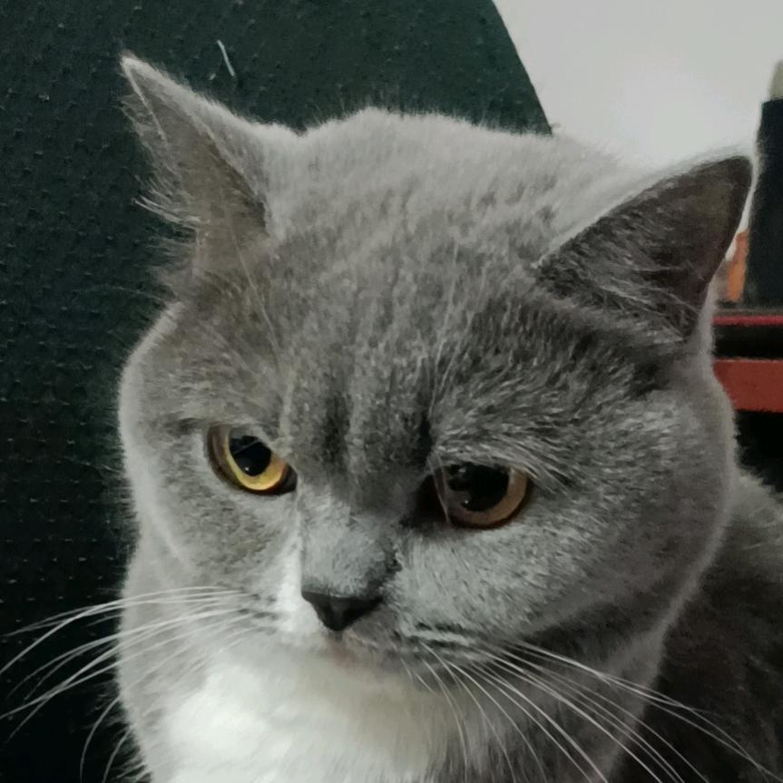 原来的我
