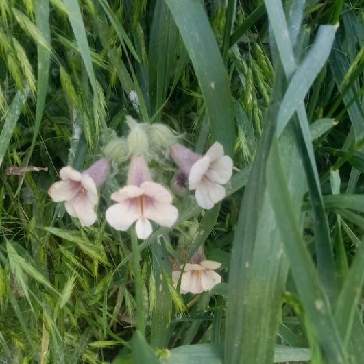 七零后的《同龄人》