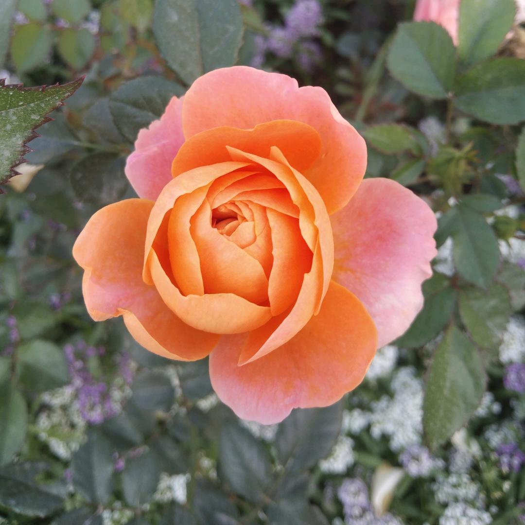 相濡以沫一辈子