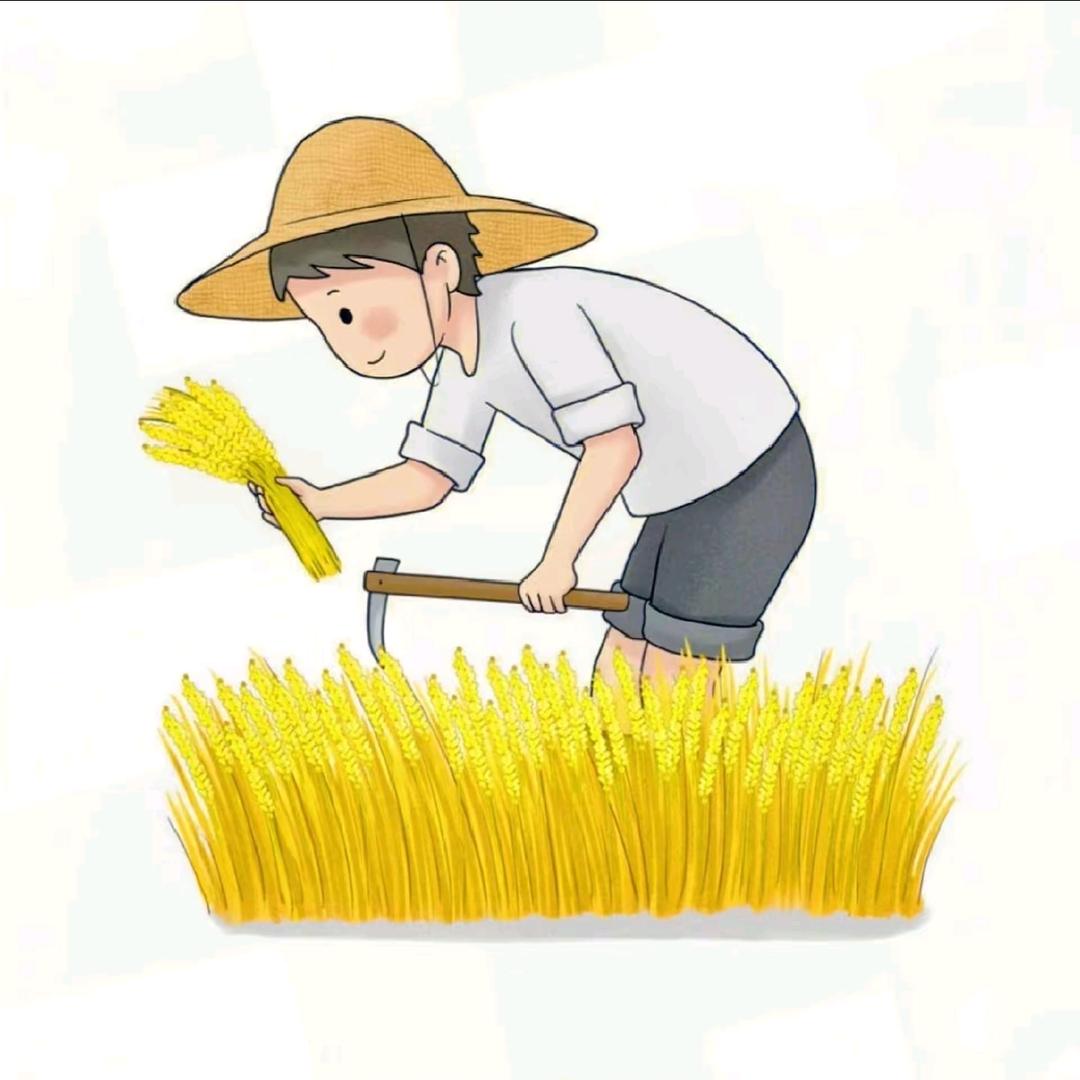 后花园园艺