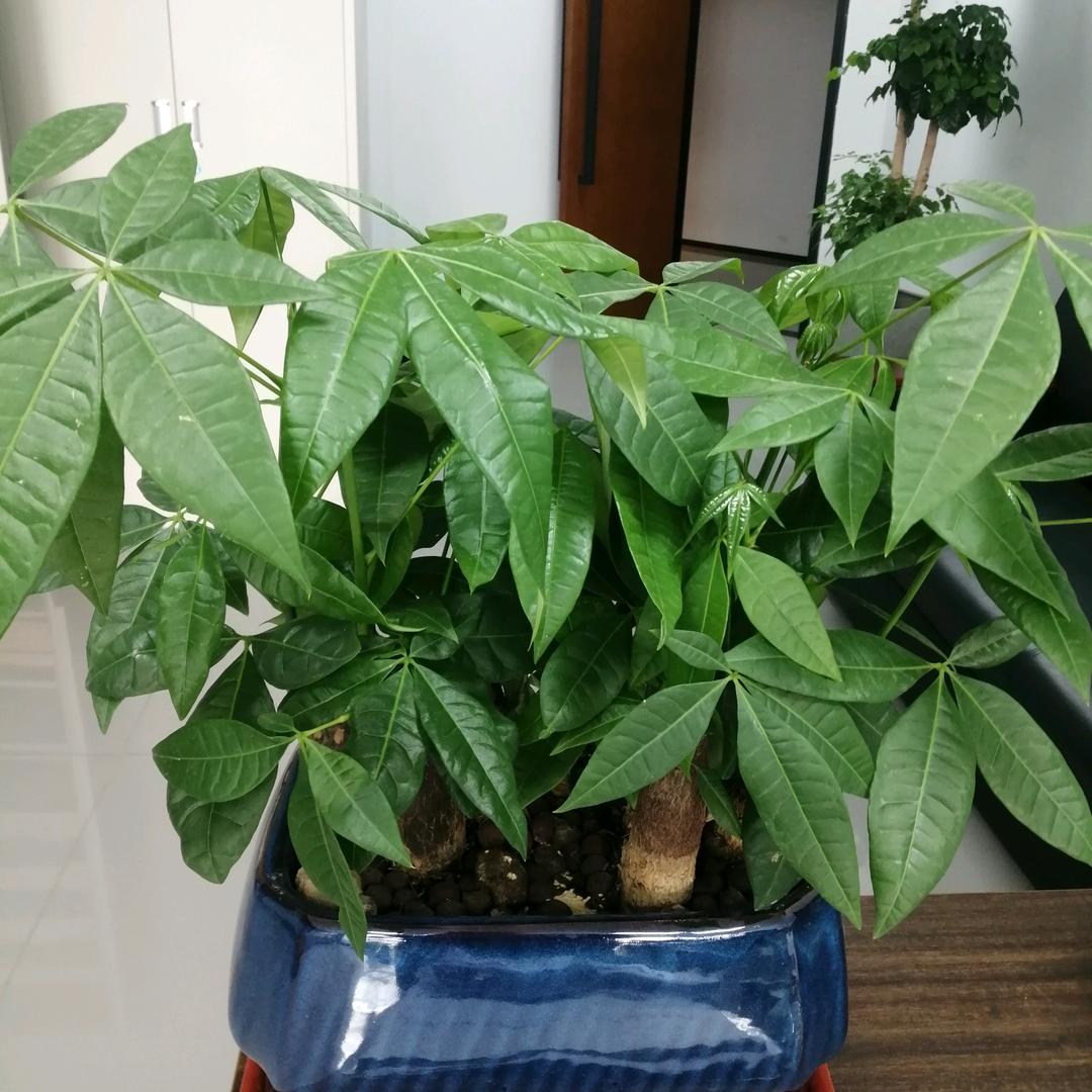 白云深处