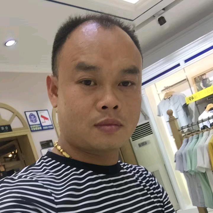 狡猾的猪