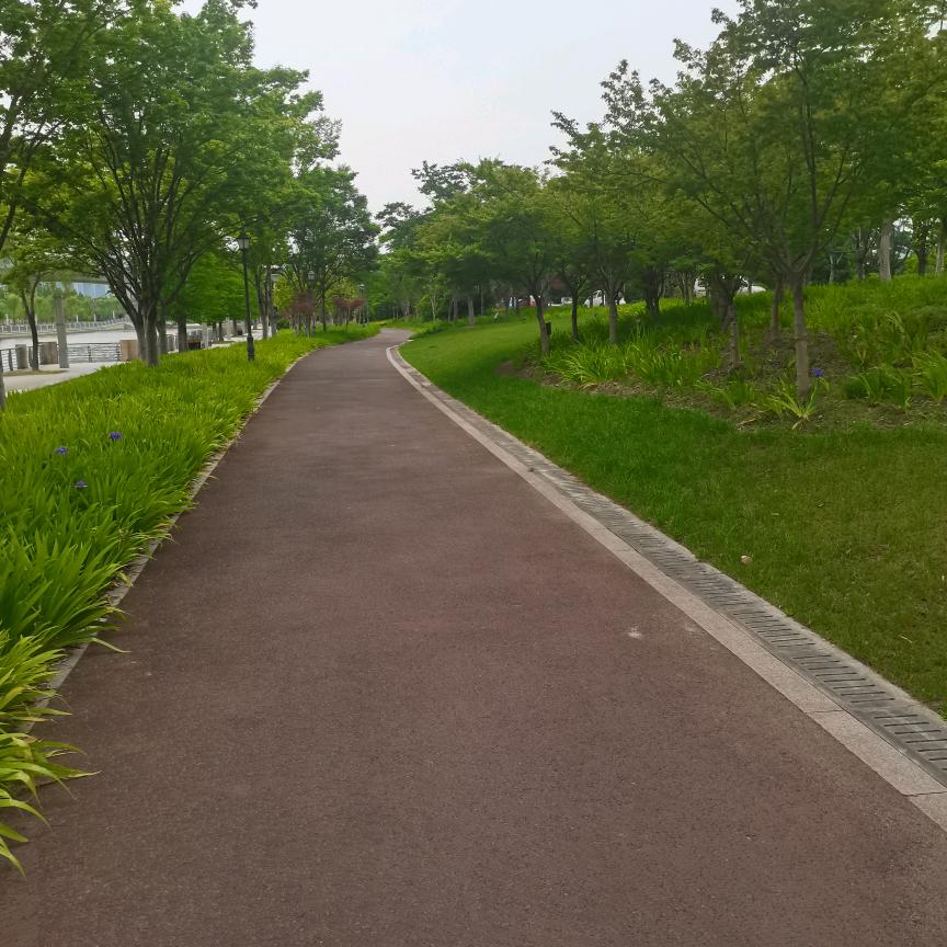 草原上晒太阳