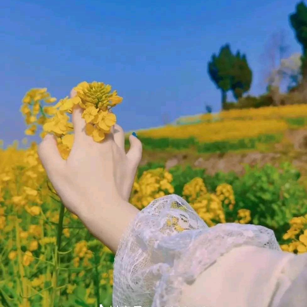 朝暮&