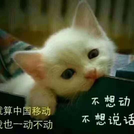 ╭( ′• o •′ )╭☞就是这个人！