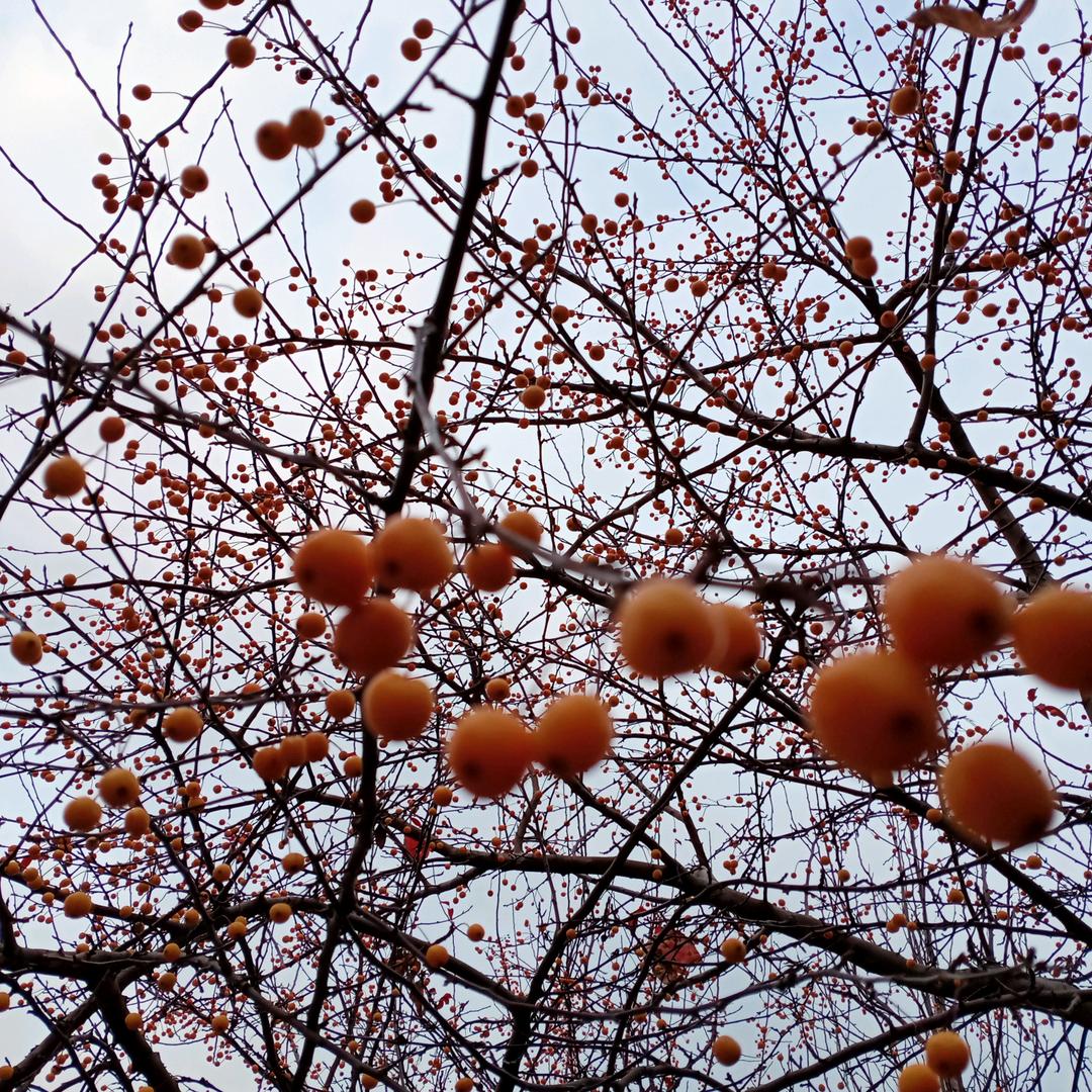 今朝有酒今朝醉