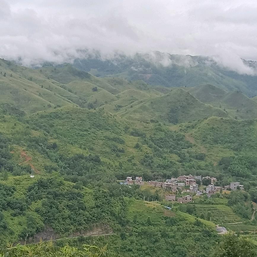 黄生