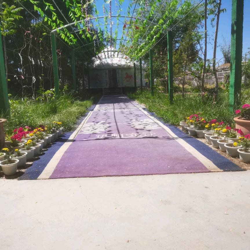 香海农家乐（主理人）