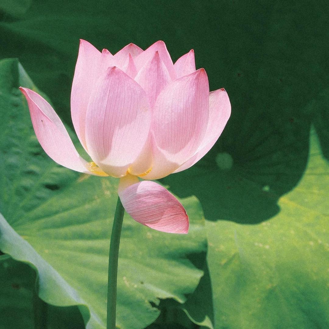 开心每天