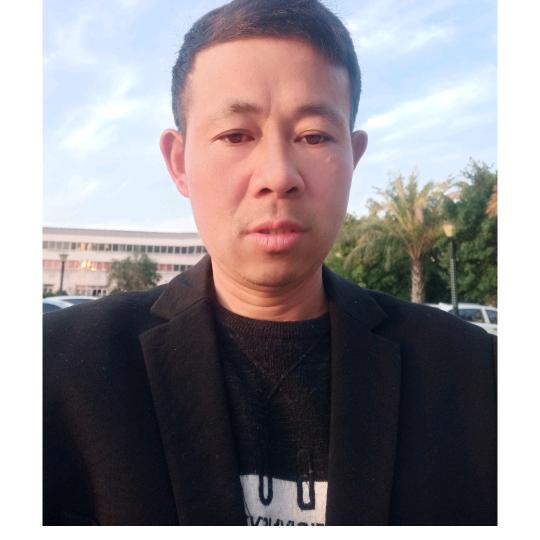 .书法小陈