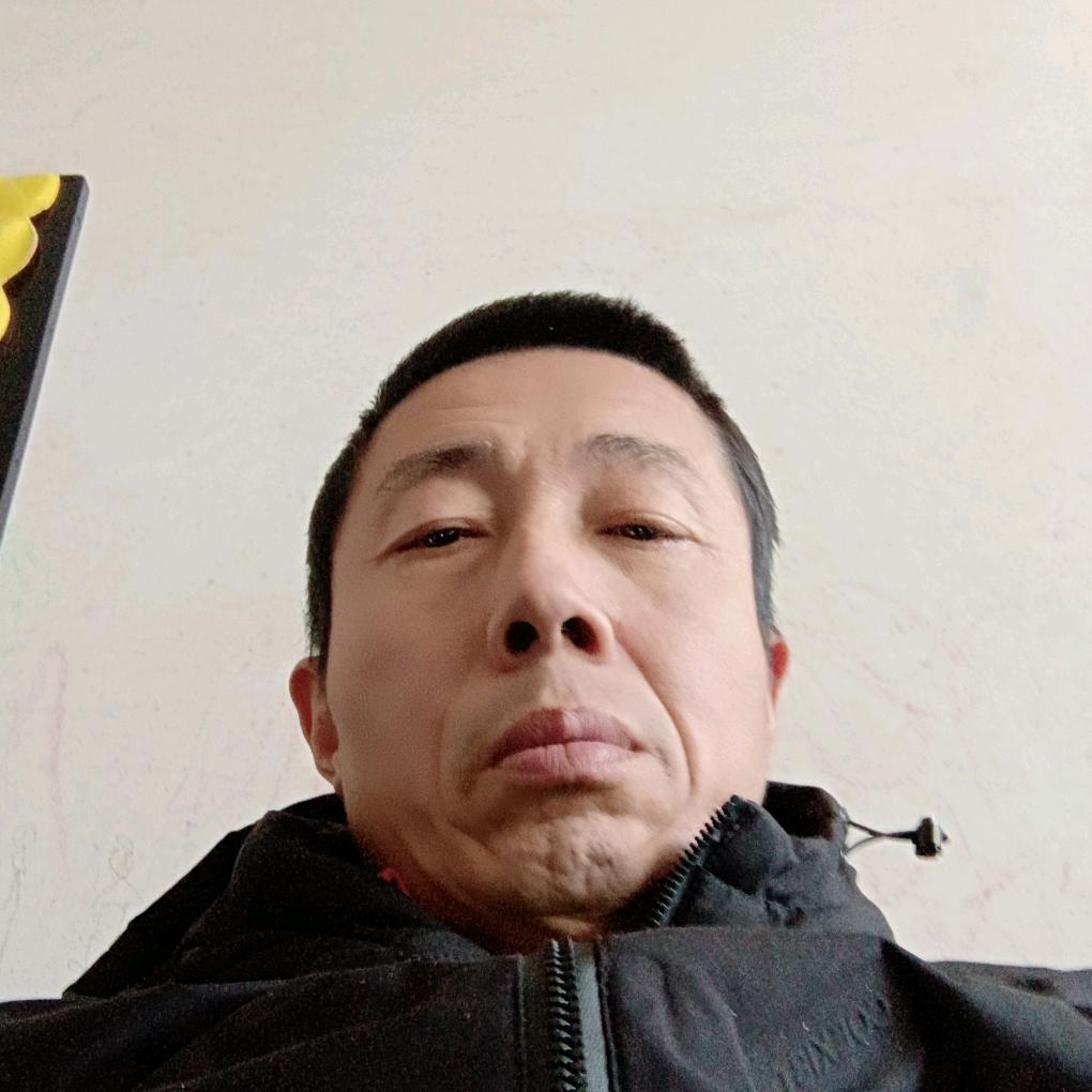 信鸽