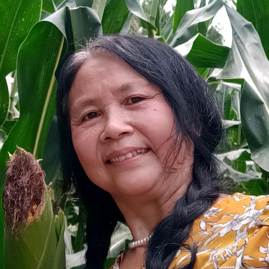 傻妹