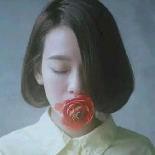 七月的清风