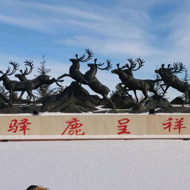 雪岭神鹰