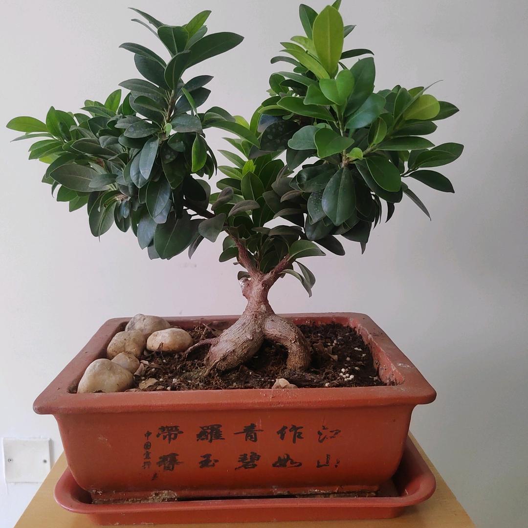 阳光