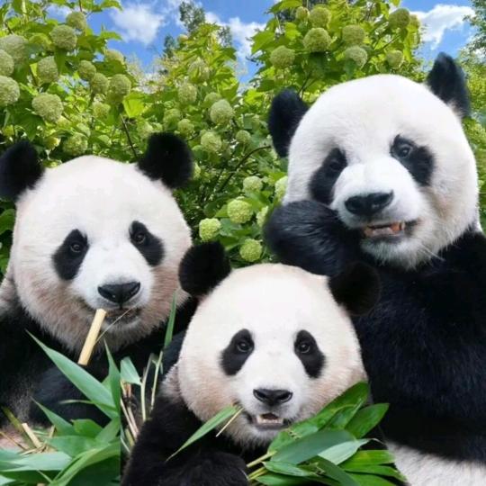 奇迹
