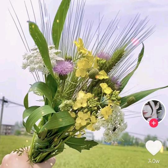 意意妈