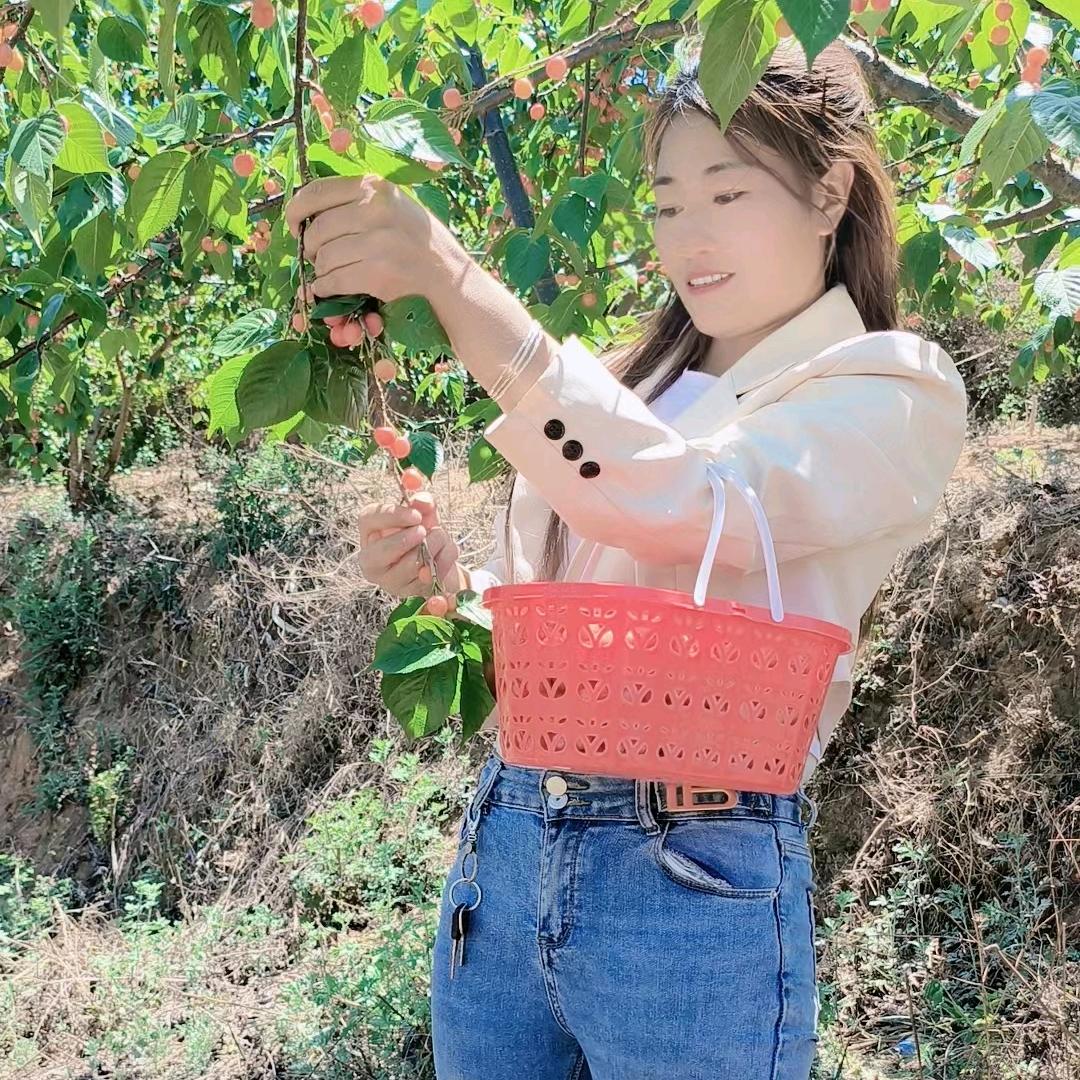 小阿妹