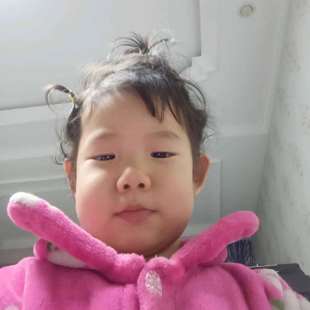 小燕子