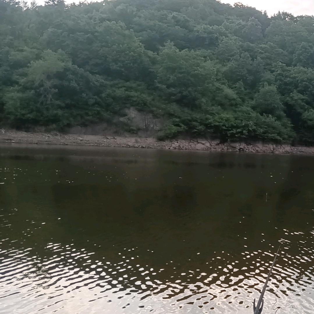 那个冬天特别冷