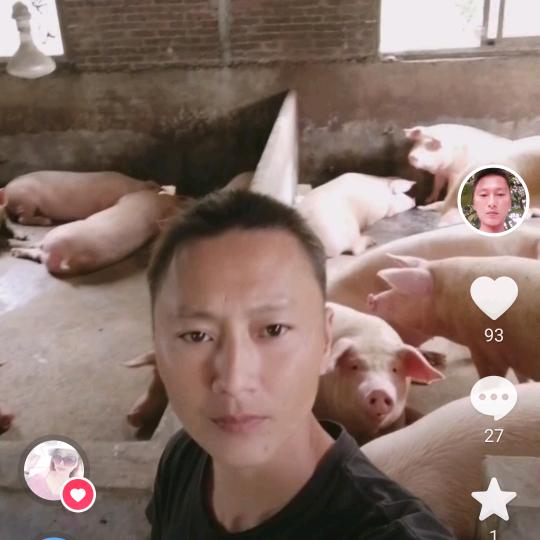 龙在江湖