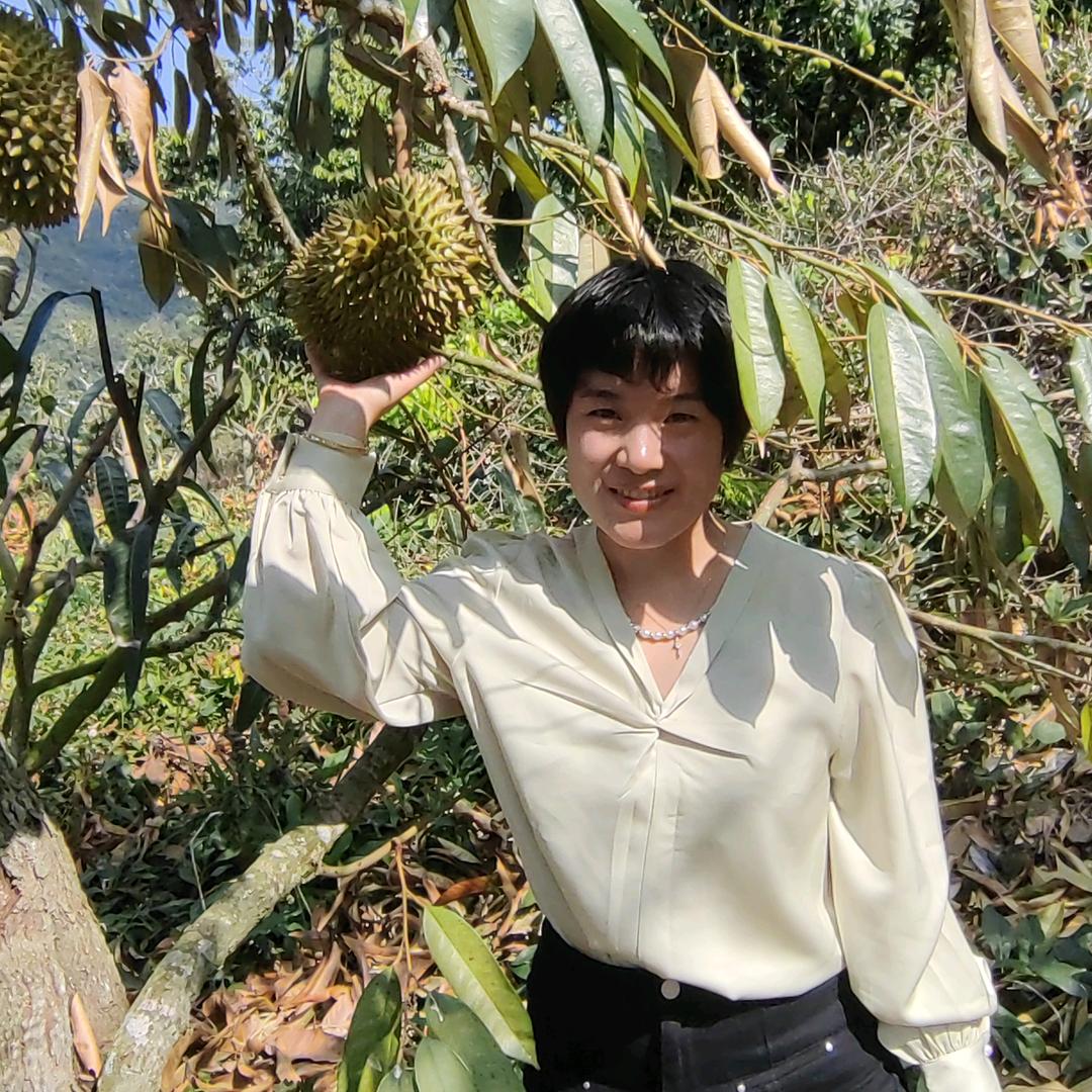 天使果实小时达
