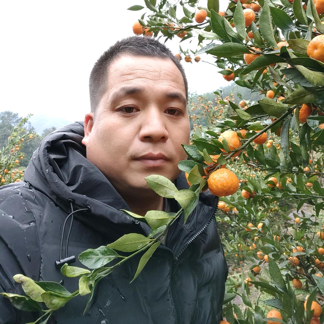 华西佰味多鲜果蔬店