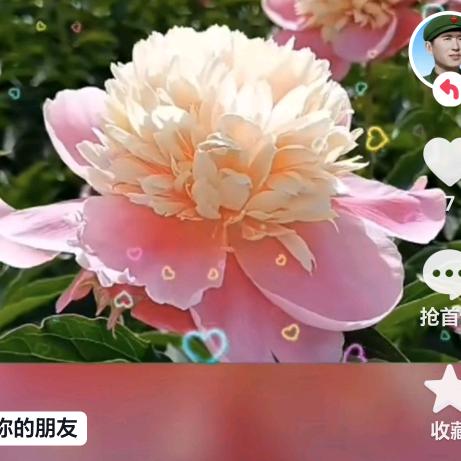 孙淑琪