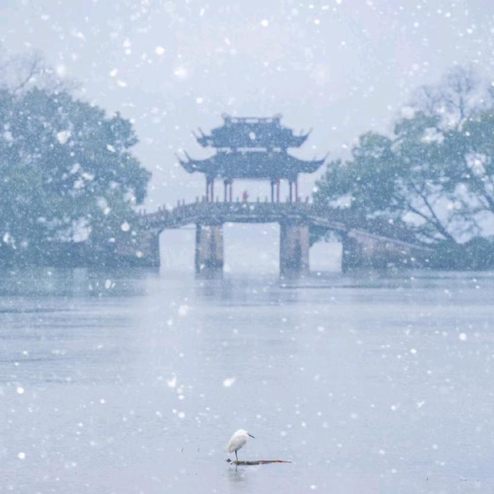 海集