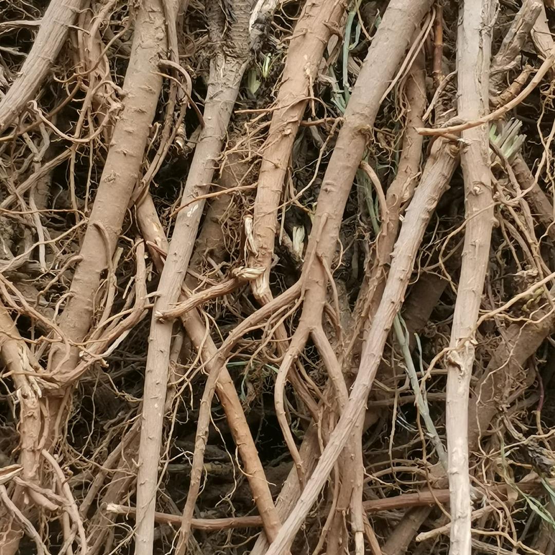 用户962036461