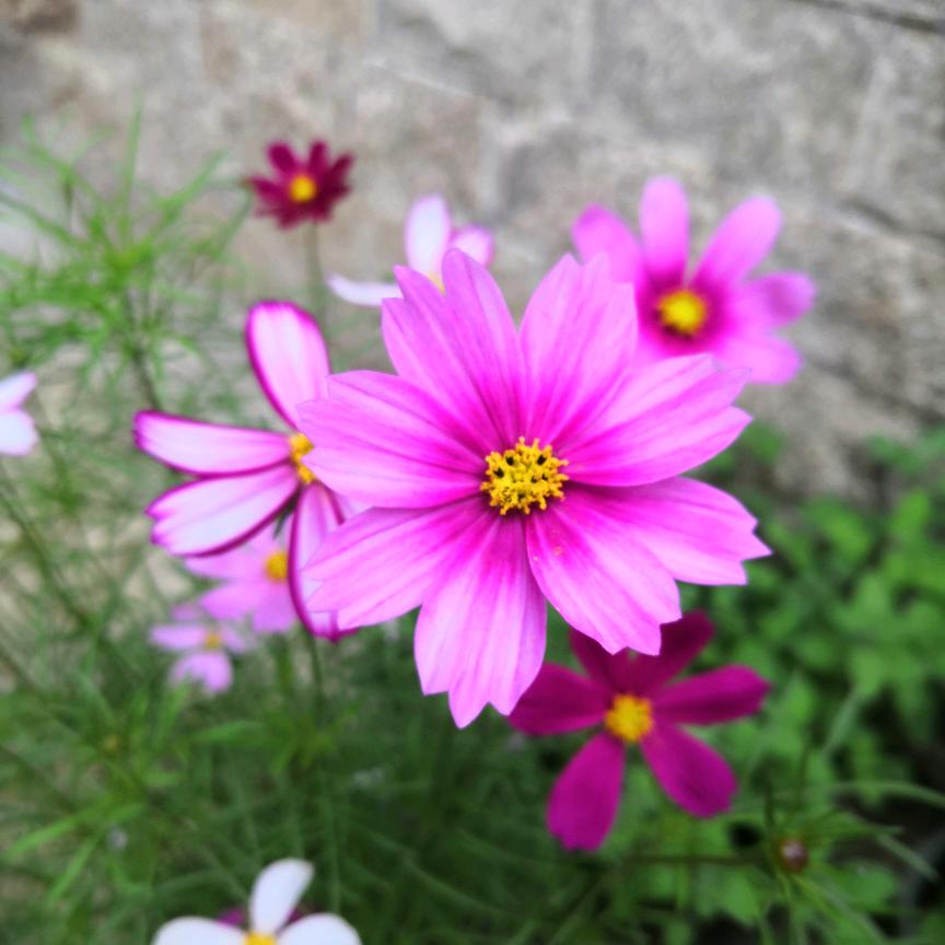 来跟我一起笑 哈哈哈哈😄