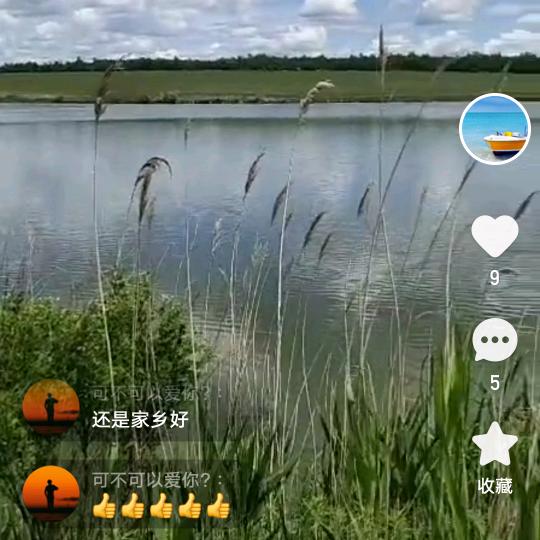 枫林听雨_203921960