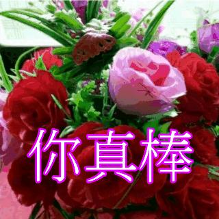 苏静妹