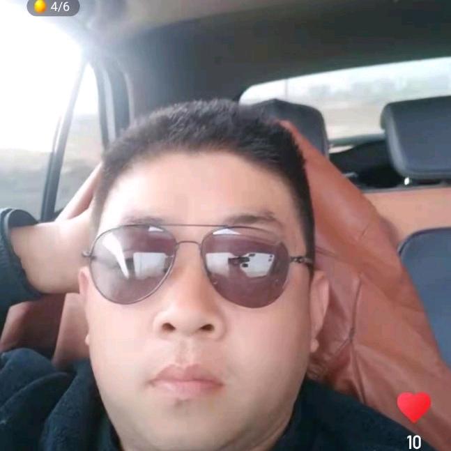 绿洲苗木酸枣苗专供