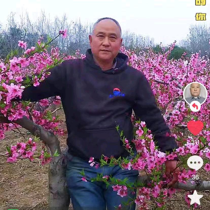 万事如意