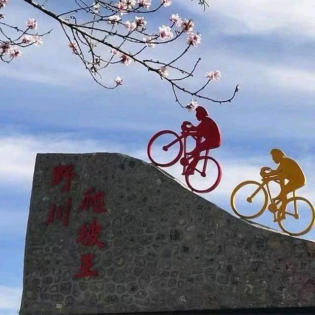 青春野川
