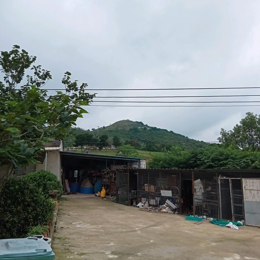 巢湖旭翔合作社