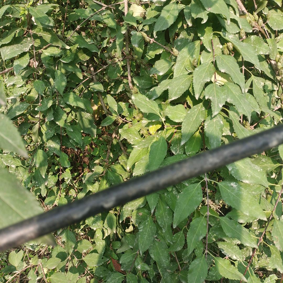 有缘千里来相会